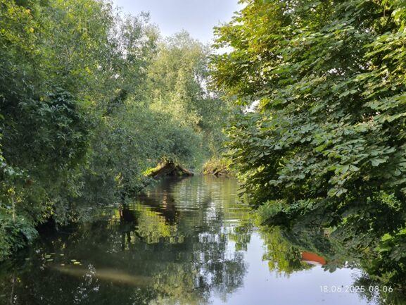 Paddeln auf der Havel