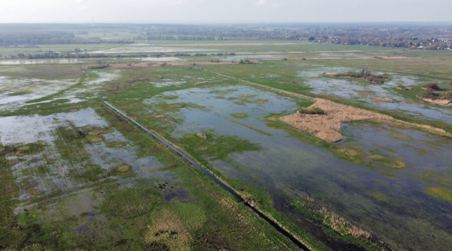 Paddel-Abenteuer auf der Havel